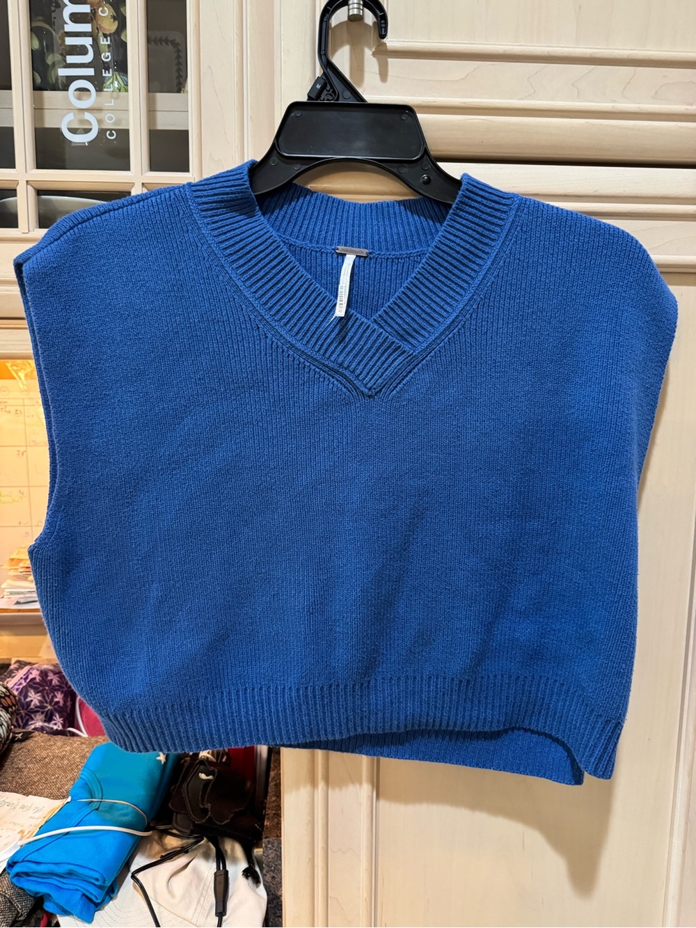 Free People Men's Royal Blue V-Neck Knit Vest